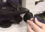 Figure 10.  Fine focus adjustment knob used to obtain maximum focus. (Courtesy M. B. Riley)