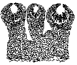 A line drawing of the surface of the black stroma.