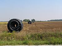 Figure 13. Drain tiles are used in some parts of the US to improve soil drainage to limit losses associated with Phytophthora sojae. These long coils of drain tile at the end of the field are ready to be buried in the soil (Courtesy A. Dorrance). 