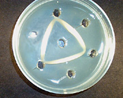 Typical results for a double diffusion - two reaction type test. 