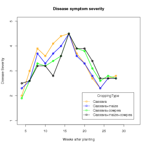 The intercropping had little effect on disease symptoms.