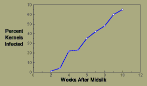 Graph, Fusarium kernel rot of maize