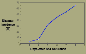 Graph, Phytophthora blight of pepper seedlings